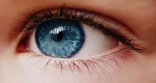 EMDR